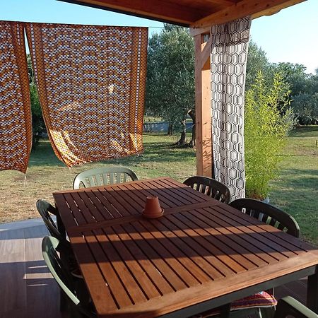 Nature Home Eco-Friendly Pet-Friendly Fažana Exterior foto