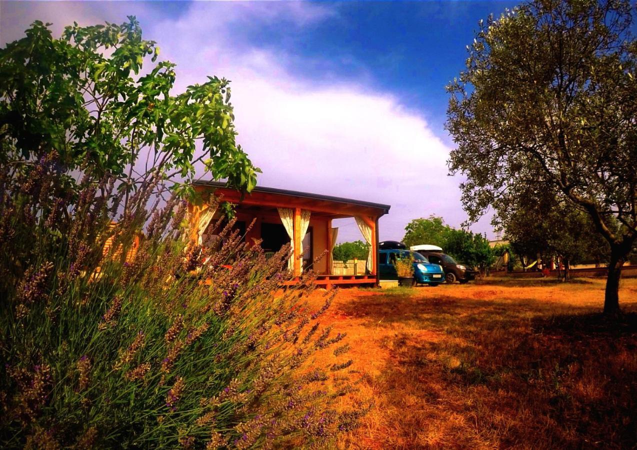 Nature Home Eco-Friendly Pet-Friendly Fažana Exterior foto