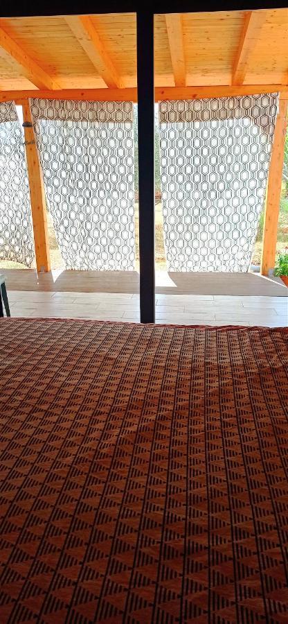 Nature Home Eco-Friendly Pet-Friendly Fažana Exterior foto